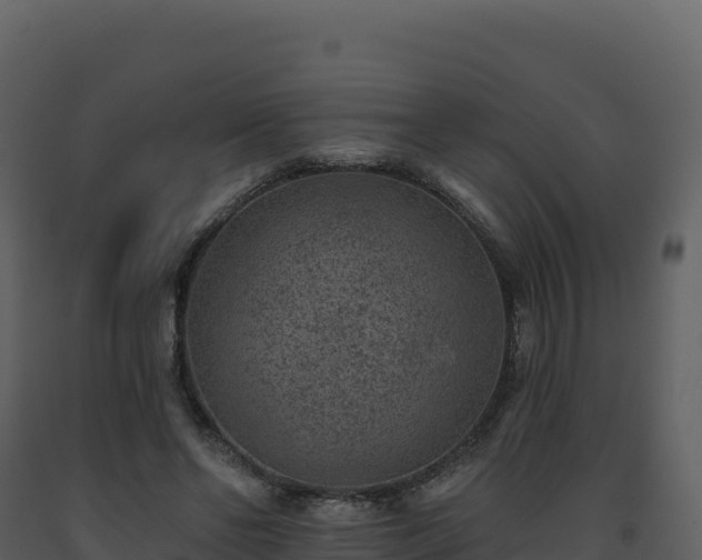 X0000093480494200710191209