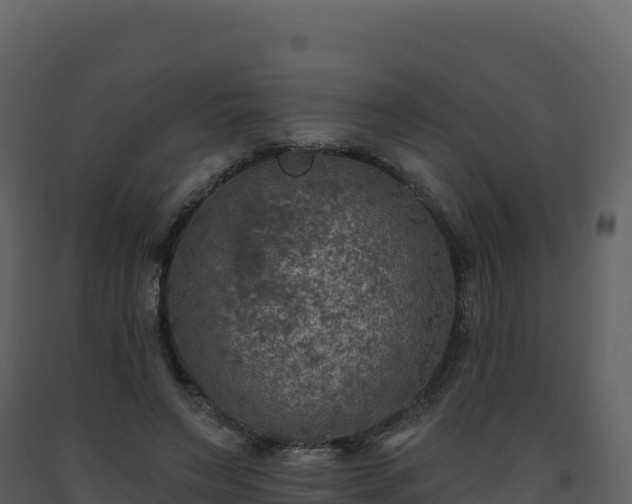 X0000093480495200710191209