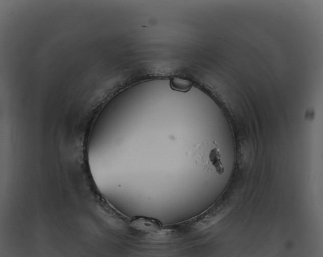 X0000093480497200710191209