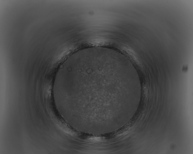 X0000093480499200710191209