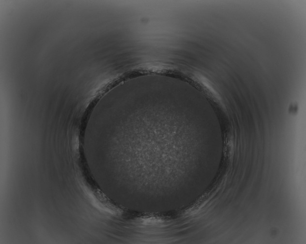 X0000093480500200710191209