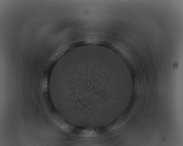 X0000093480502200710191209