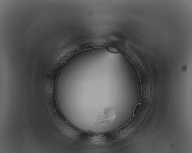 X0000093480505200710191209