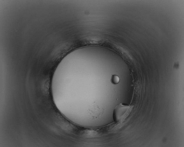 X0000093480509200710191209