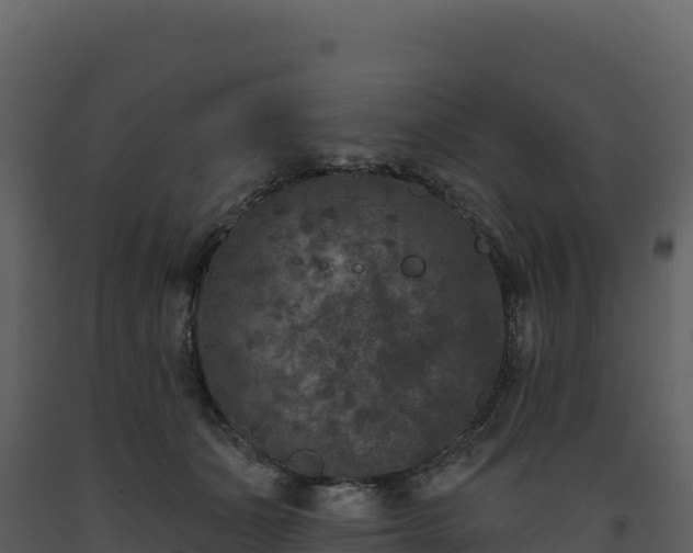 X0000093480511200710191209
