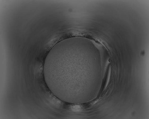 X0000093480513200710191209