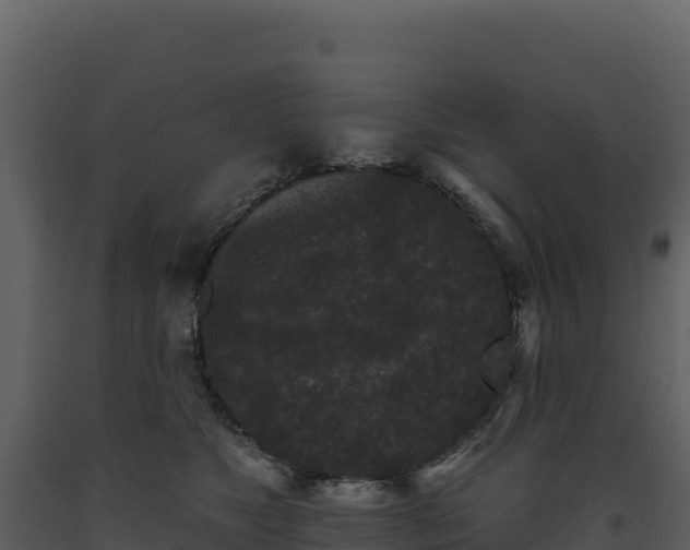X0000093480517200710191209
