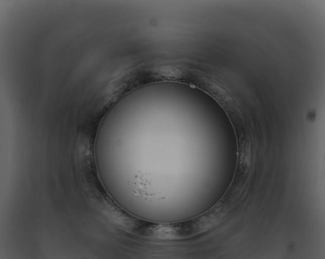 X0000093480518200710191209