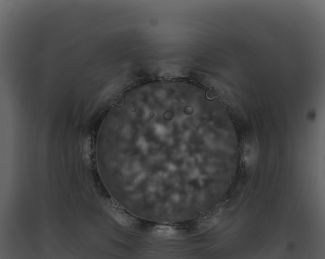 X0000093480519200710191209