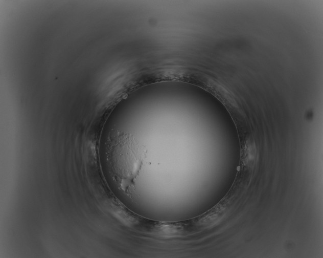X0000093480522200710191209
