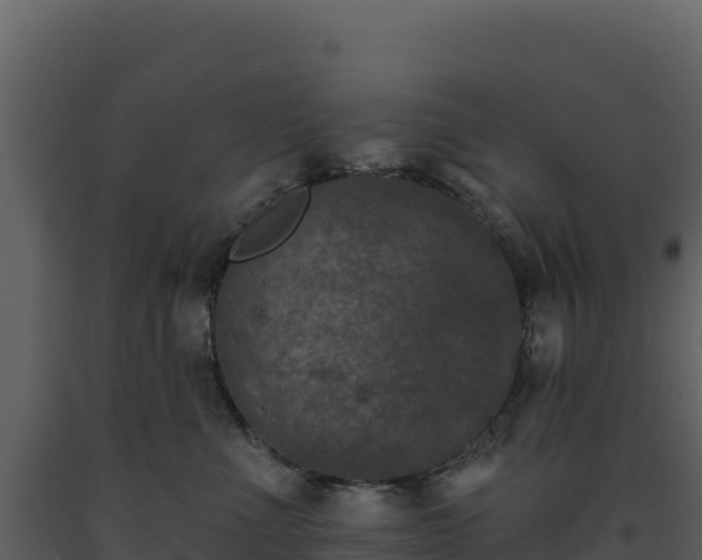 X0000093480523200710191209