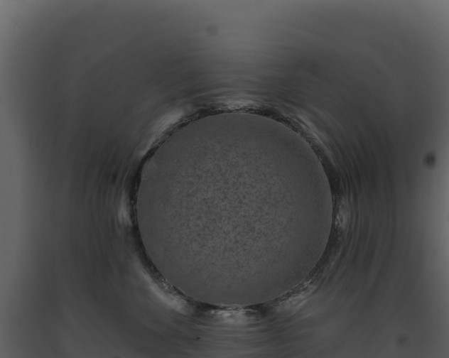 X0000093480524200710191209