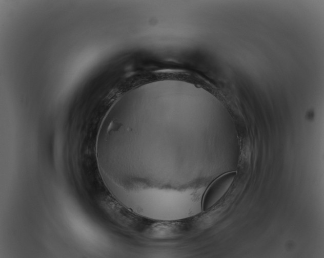 X0000093480526200710191209