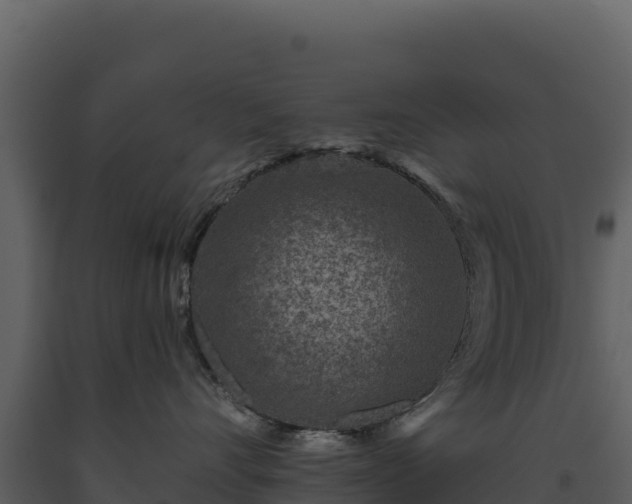 X0000093480528200710191209