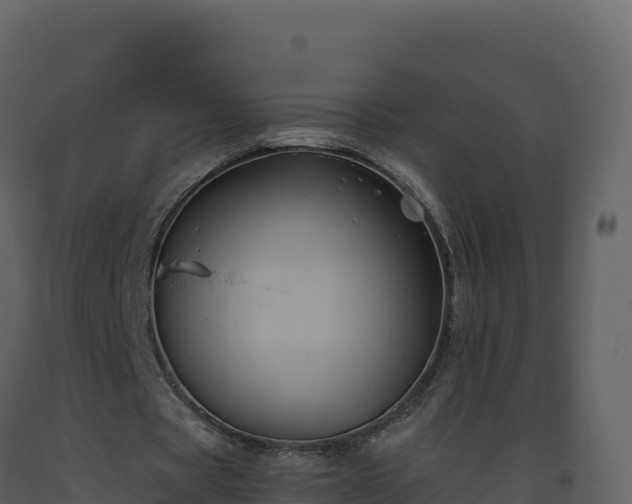 X0000093480529200710191208