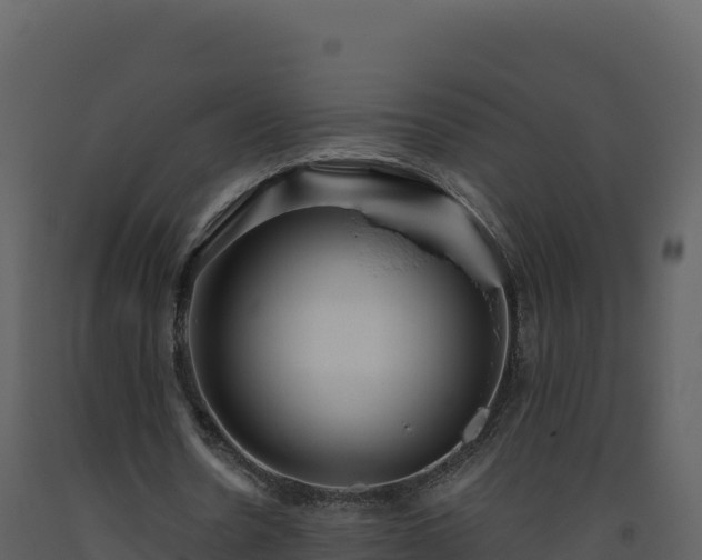 X0000093480530200710191208