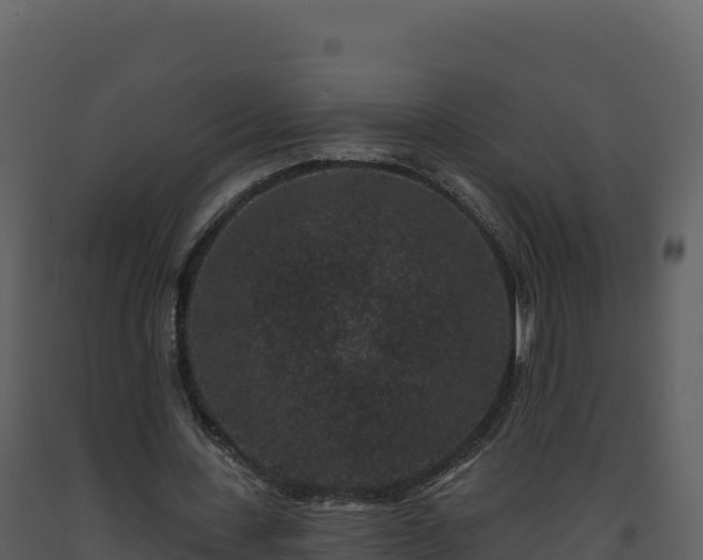 X0000093480531200710191208