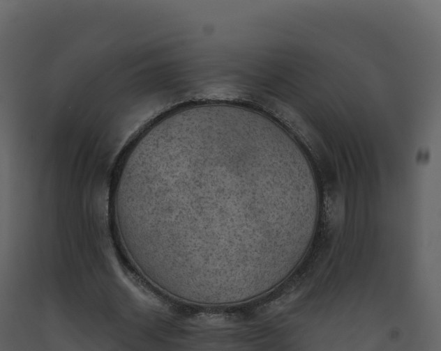 X0000093480534200710191208
