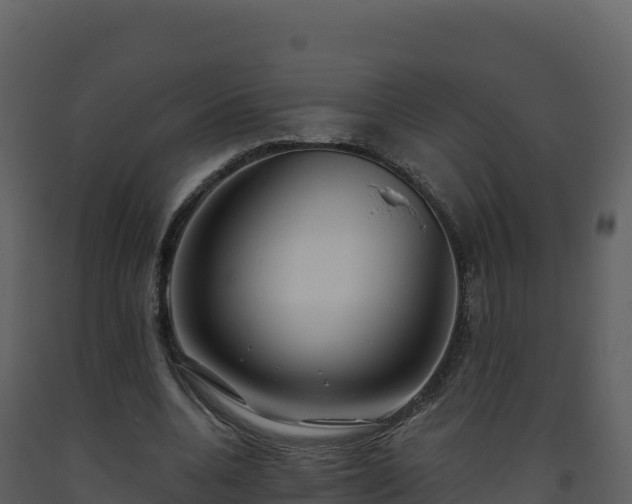 X0000093480536200710191208