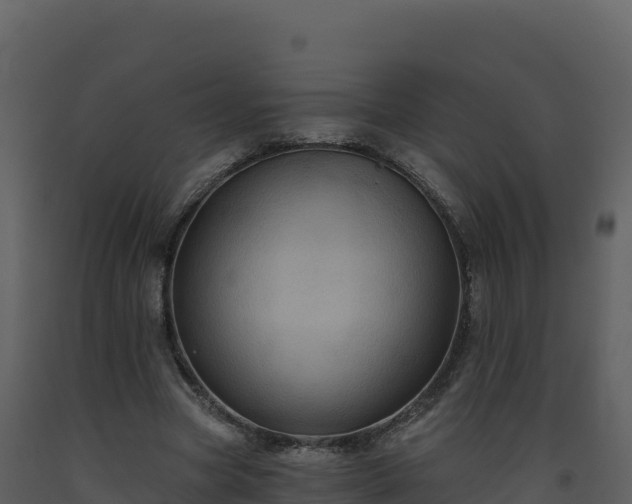 X0000093480537200710191208