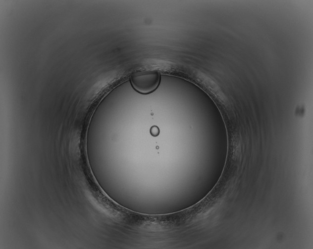 X0000093480538200710191208