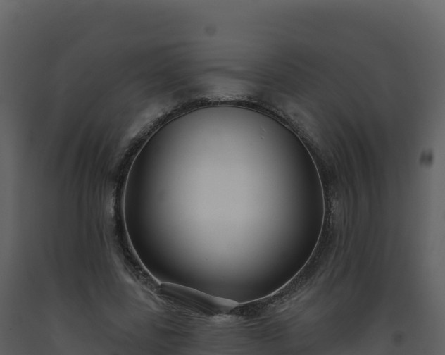X0000093480539200710191208