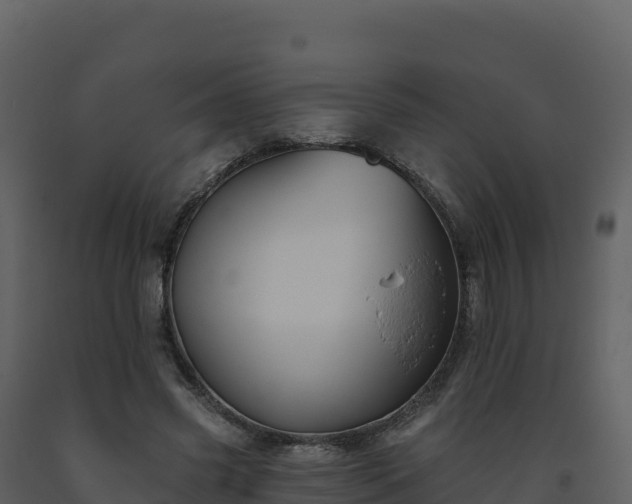 X0000093480541200710191208