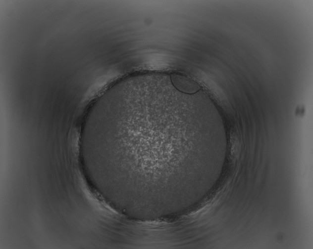 X0000093480542200710191208