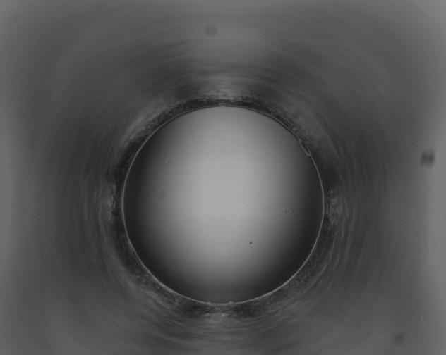 X0000093480544200710191208