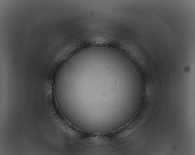 X0000093480545200710191208