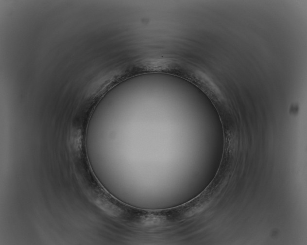 X0000093480549200710191208