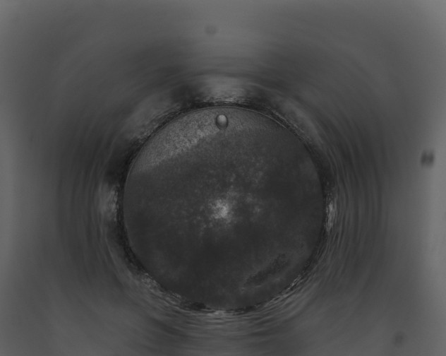 X0000093480551200710191208
