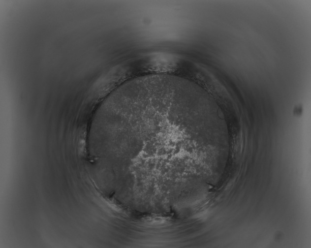 X0000093480553200710191208