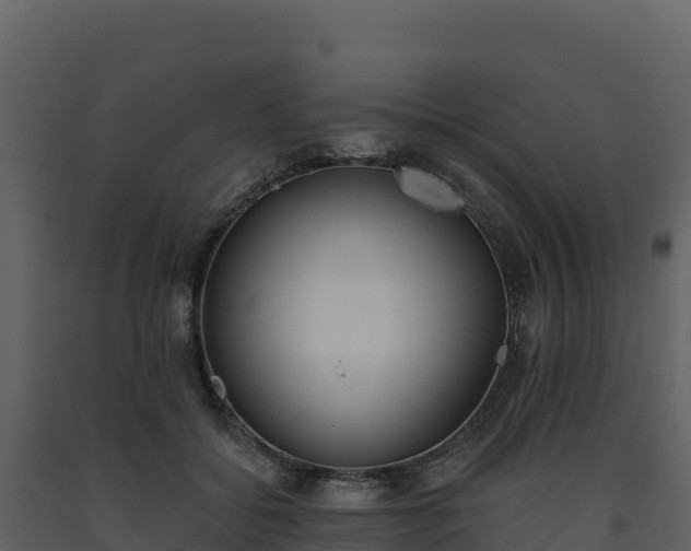 X0000093480556200710191209