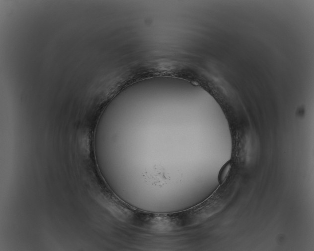 X0000093480562200710191209