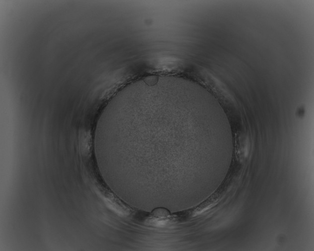 X0000093480563200710191209