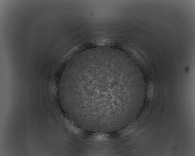X0000093480569200710191209