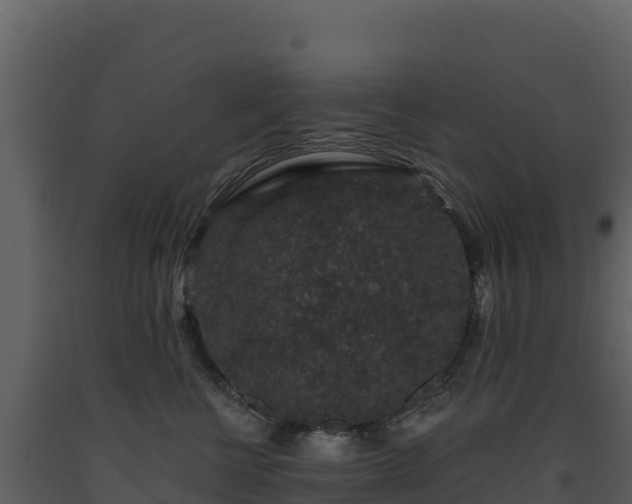 X0000093480570200710191209
