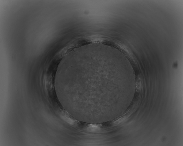 X0000093480573200710191209