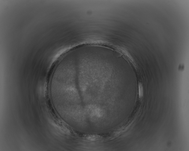 X0000093480579200710191208