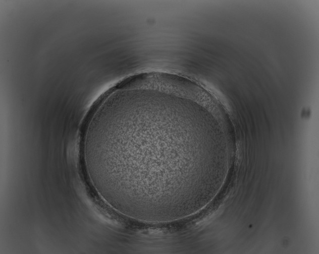 X0000093480580200710191208