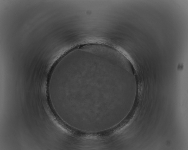 X0000093480581200710191208