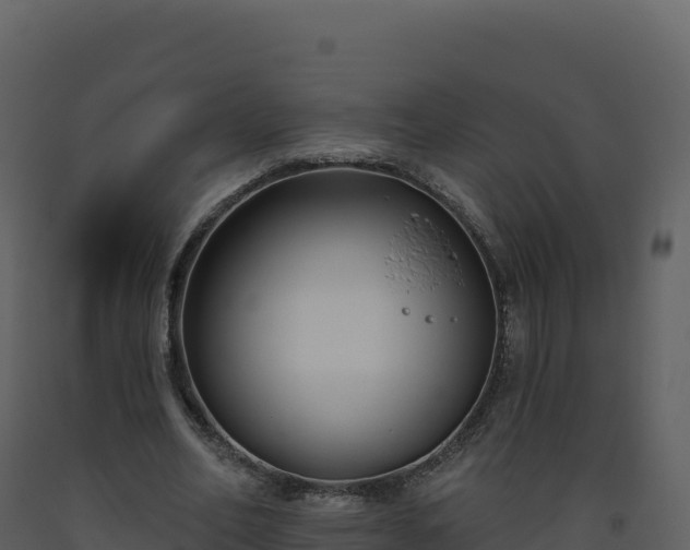X0000093480582200710191208