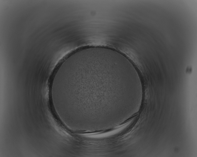 X0000093480584200710191208