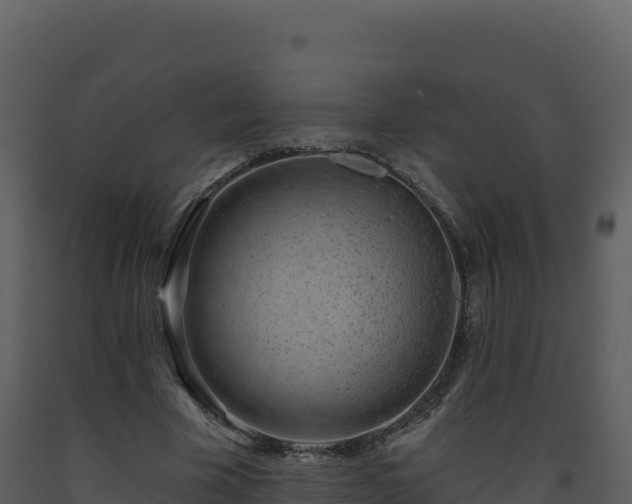 X0000093480585200710191208