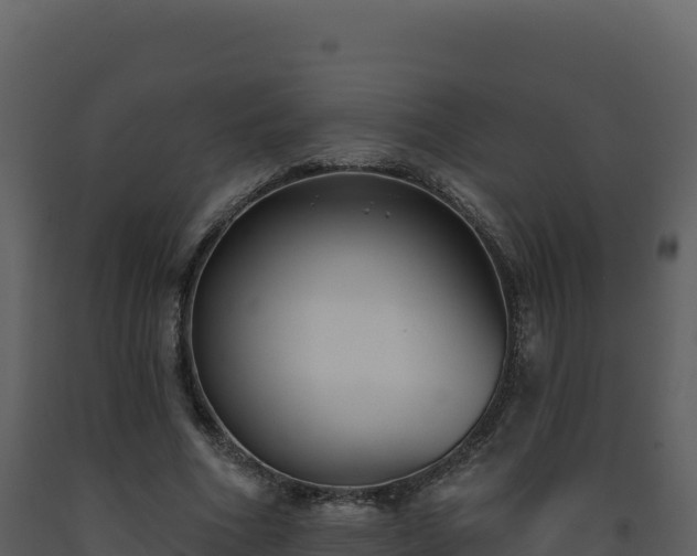 X0000093480586200710191208