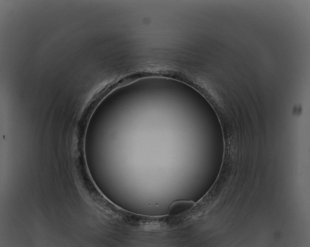 X0000093480587200710191208