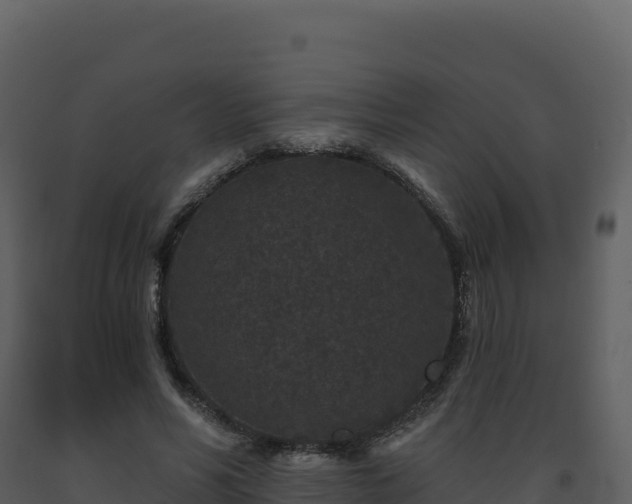 X0000093480590200710191208