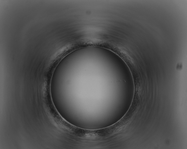 X0000093480591200710191208