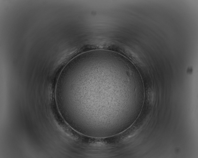X0000093480594200710191208